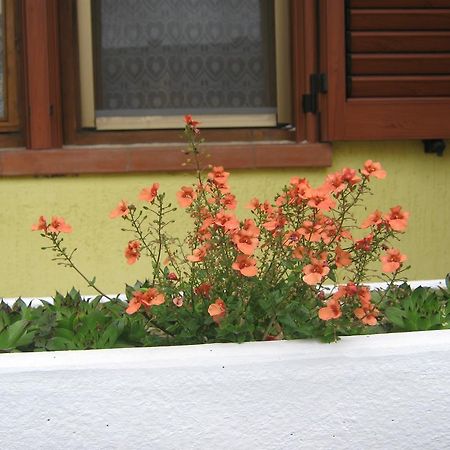 Apartment Meridiana Rovinj Buitenkant foto