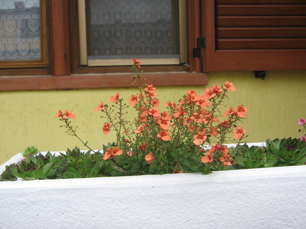 Apartment Meridiana Rovinj Buitenkant foto